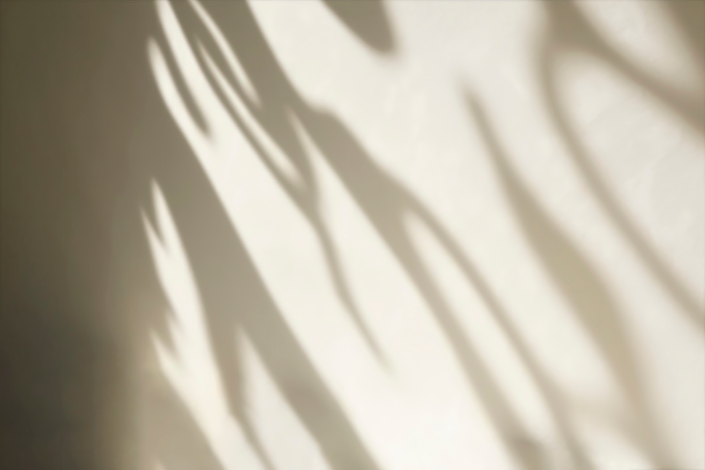 Soft Shadow Reflection Background