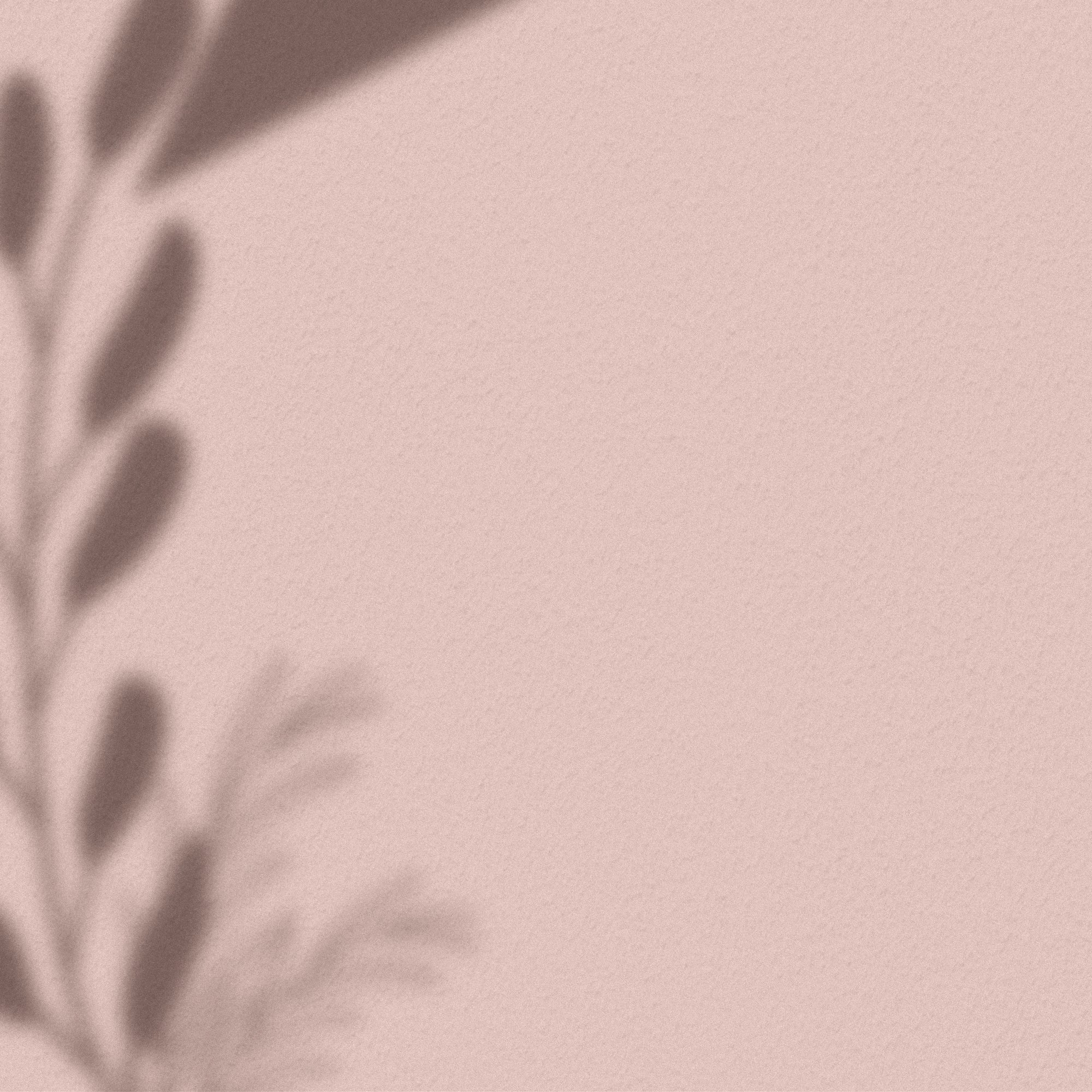 Leaf Shadow Wallpaper